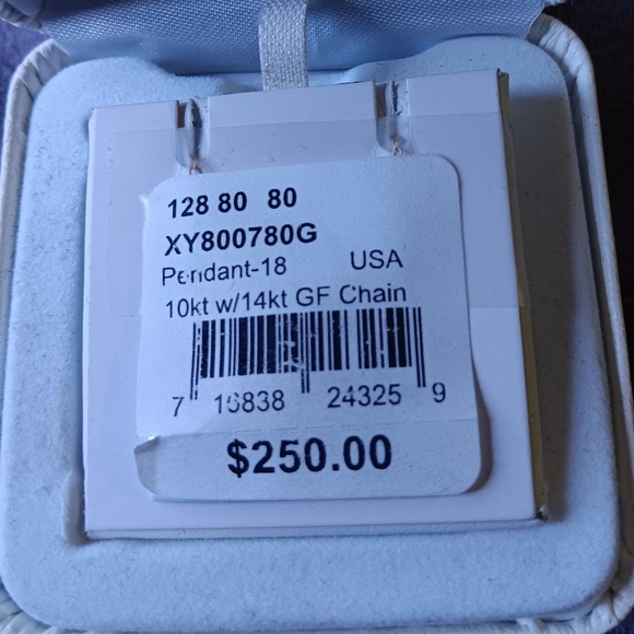 10kt. gold pendant w/ 14kt. GF chain - Picture 3 of 4